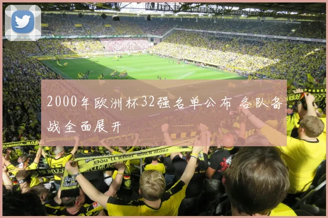 2000年欧洲杯32强名单公布 各队备战全面展开