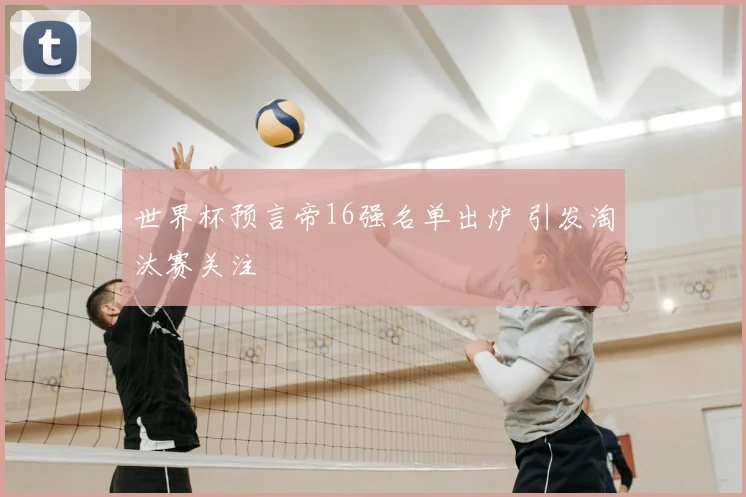 世界杯预言帝16强名单出炉 引发淘汰赛关注