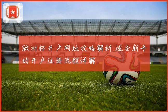 欧洲杯开户网址攻略解析 适合新手的开户注册流程详解