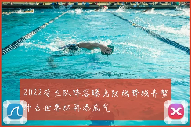 2022荷兰队阵容曝光防线锋线齐整冲击世界杯再添底气